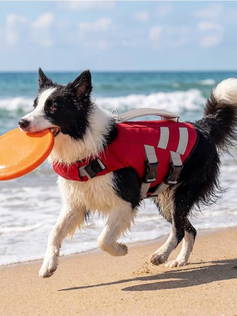 Red Reflective Dog Life Jacket with Secure Grab Handle